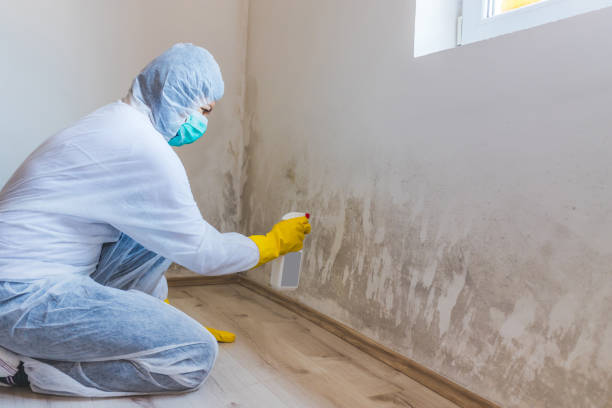 Commercial Mold Remediation assessment for commercial property in Dublin